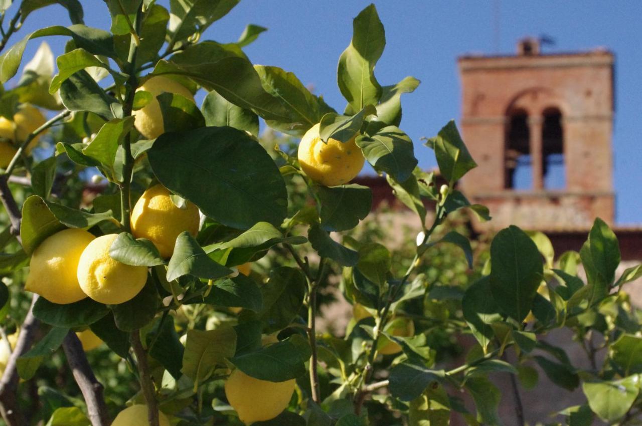 Вилла Fattoria Monastero Sant'Anna In Camprena Пиенца Экстерьер фото